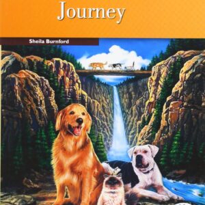 THE INCREDIBLE JOURNEY